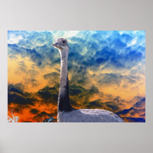 Rhea on Storm Cloud Sky Poster (Vorne)