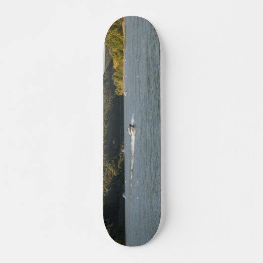 Rhein Skateboard (Vorne)