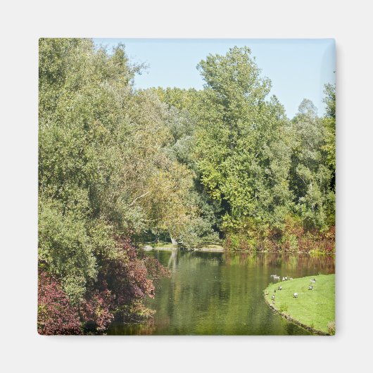 Rheinaue Park Magnet (Vorne)