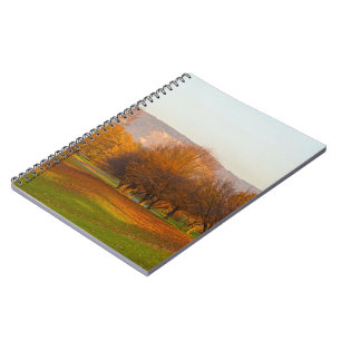 Rheinaue Park Notebook Notizblock