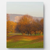 Rheinaue Park Plaque Fotoplatte (Vorderseite)