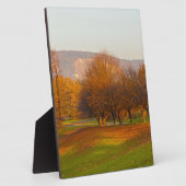 Rheinaue Park Plaque Fotoplatte (Seite)