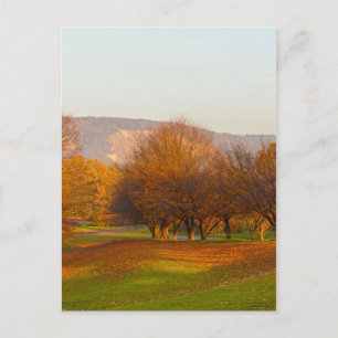 Rheinaue Park Postcard Postkarte