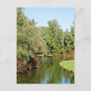 Rheinaue Park Postcard Postkarte