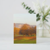 Rheinaue Park Postcard Postkarte (Stehend Vorderseite)