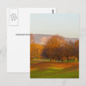 Rheinaue Park Postcard Postkarte (Vorne/Hinten)