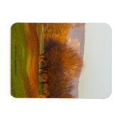 Rheinaue Park Premium Magnet (Horizontal)