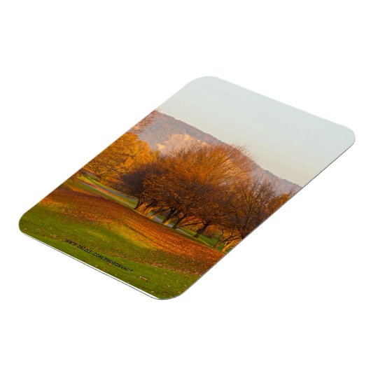 Rheinaue Park Premium Magnet (Linke Seite)