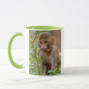 Rhesus-Affenbaby, Affentempel, Jaipur Tasse