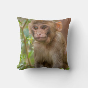 Rhesus-Affenkind, Monkey Temple, Jaipur Kissen