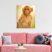Rhesus Macaque Baby (Macaca Mulatta) | In Sariska Leinwanddruck (Insitu (Wohnzimmer))