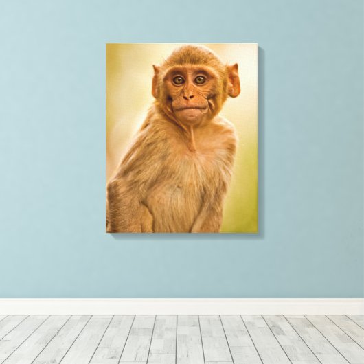 Rhesus Macaque Baby (Macaca Mulatta) | In Sariska Leinwanddruck (Insitu (Holzboden))