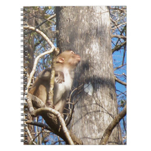 Rhesus-Makaken Notizblock