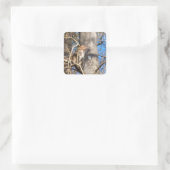 Rhesus-Makaken Quadratischer Aufkleber (Tasche)