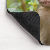 Rhesus Monkey Baby, Monkey Temple, Jaipur Mousepad (Ecke)