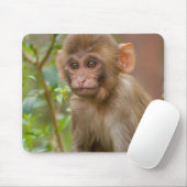 Rhesus Monkey Baby, Monkey Temple, Jaipur Mousepad (Mit Mouse)