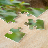 Rhesus Monkey Baby, Monkey Temple, Jaipur Puzzle (Seite)