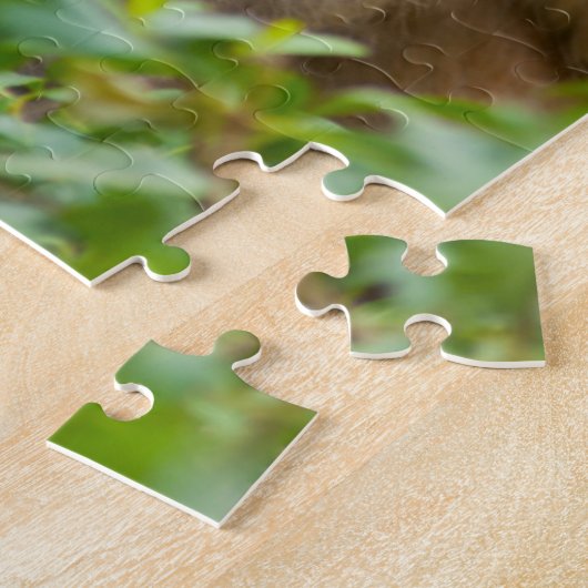 Rhesus Monkey Baby, Monkey Temple, Jaipur Puzzle (Seite)