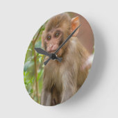 Rhesus Monkey Baby, Monkey Temple, Jaipur Runde Wanduhr (Winkel)