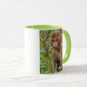 Rhesus Monkey Baby, Monkey Temple, Jaipur Tasse (VorderseiteRechts)