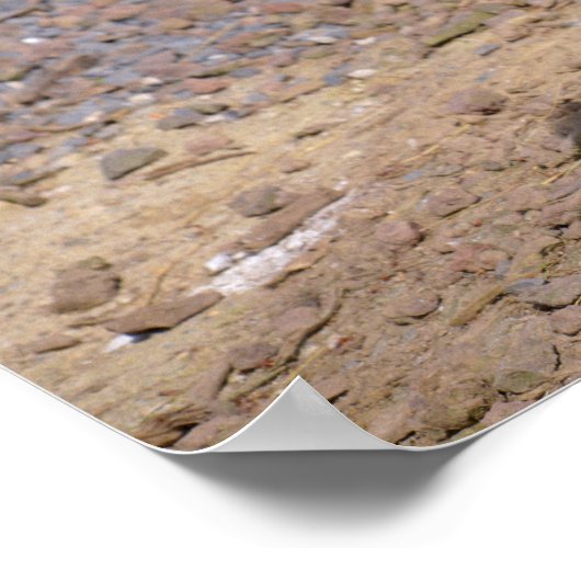 Rheuma Poster (Ecke)