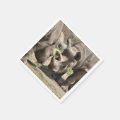 Rhinamic Duo Serviette (Ecke)