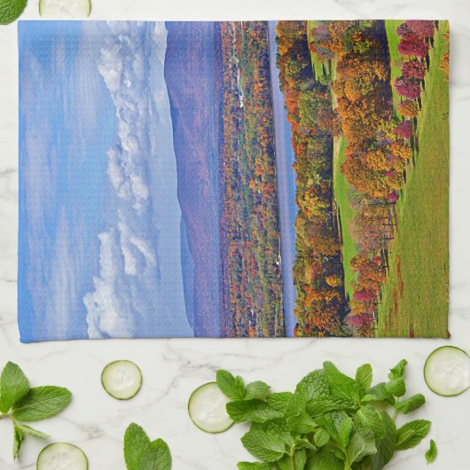 Rhinecliff Bridge im Herbst Geschirrtuch (Gefaltet)