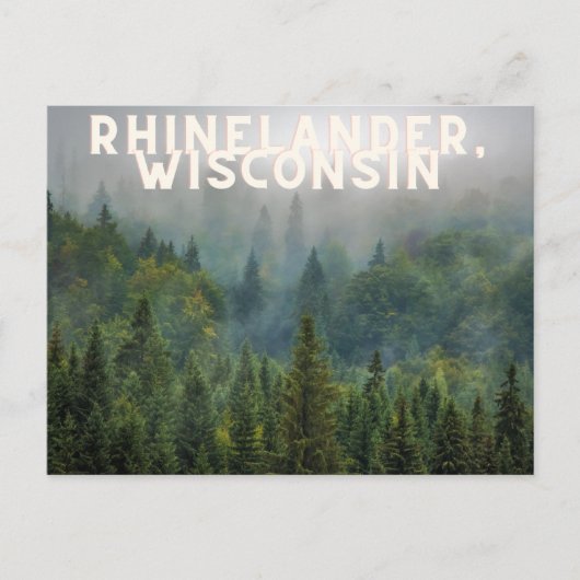 Rhinelander, Wald von Wisconsin, nördlich Postkarte (Vorderseite)