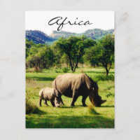 Rhino africa