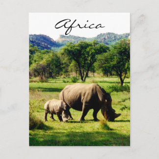 Rhino africa postkarte