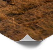 Rhino at Dusk - African Wildlife Wall Art Poster (Ecke)