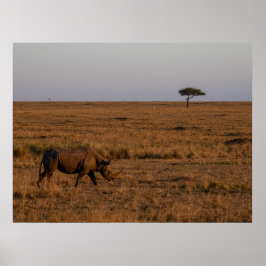 Rhino at Dusk - African Wildlife Wall Art Poster