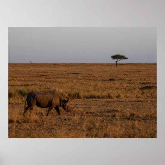 Rhino at Dusk - African Wildlife Wall Art Poster (Vorne)