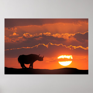 Rhino bei Sonnenuntergang, Masai Mara, Kenia Poster