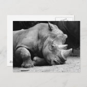 Rhino Black und White Postkarte (Vorne/Hinten)