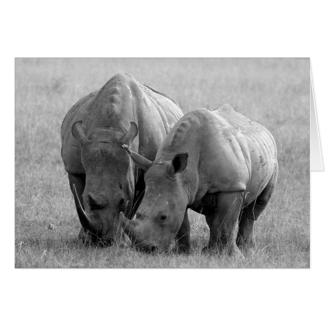 Rhino Card schwarz/weiß (Vorderseite (Horizontal))