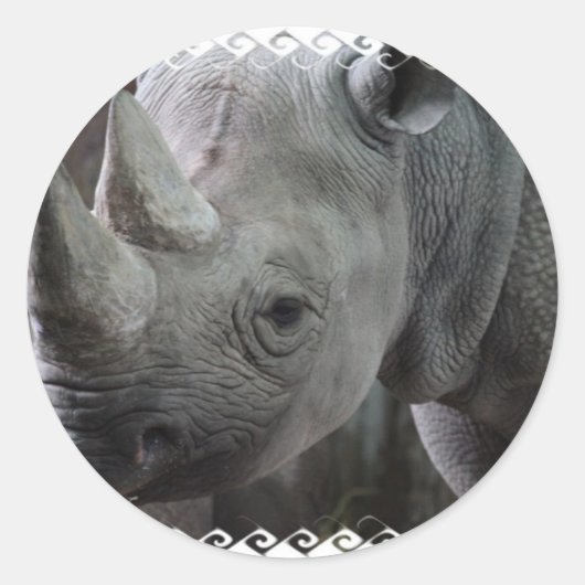 Rhino Facts Stickers (Vorderseite)
