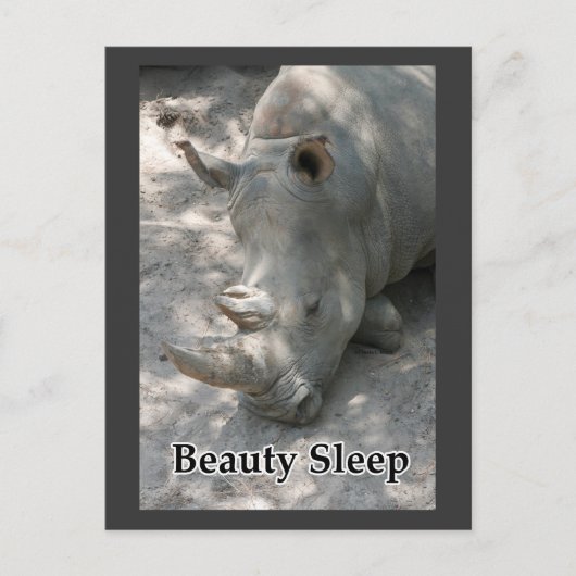 Rhino-Foto mit "Beauty Sleep"-Text Postkarte (Vorderseite)