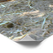 Rhino Foto Poster (Ecke)