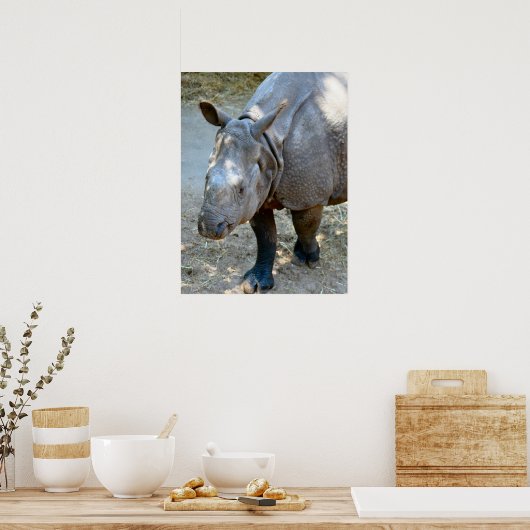 Rhino Foto Poster (Küche)