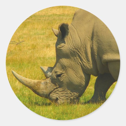 Rhino Foto Sticker (Vorderseite)