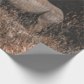 RHINO GESCHENKPAPIER (Ecke)