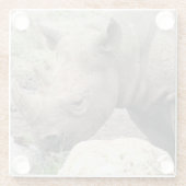 Rhino Glasuntersetzer (Rückseite)