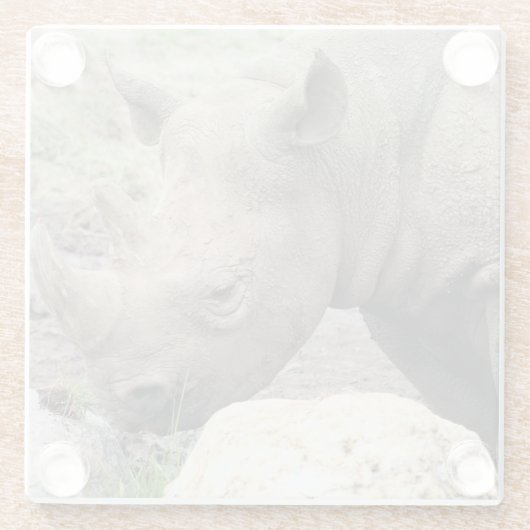 Rhino Glasuntersetzer (Rückseite)