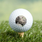 Rhino Golfball (Insitu T-Shirt)