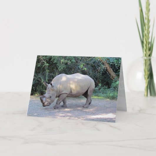 Rhino Greeting Card AK Karte (Vorderseite)