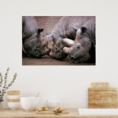Rhino Group Poster (Küche)