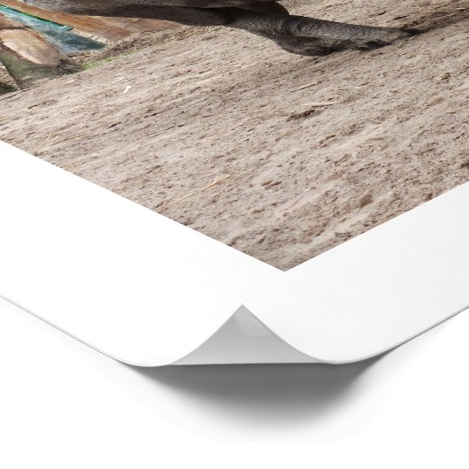 Rhino-Hornhaut Poster (Ecke)