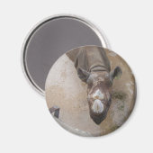 Rhino im Zoo von San Antonio Magnet (Vorderseite/Rückseite)