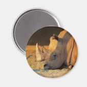 Rhino in Sunset Magnet (Vorderseite/Rückseite)